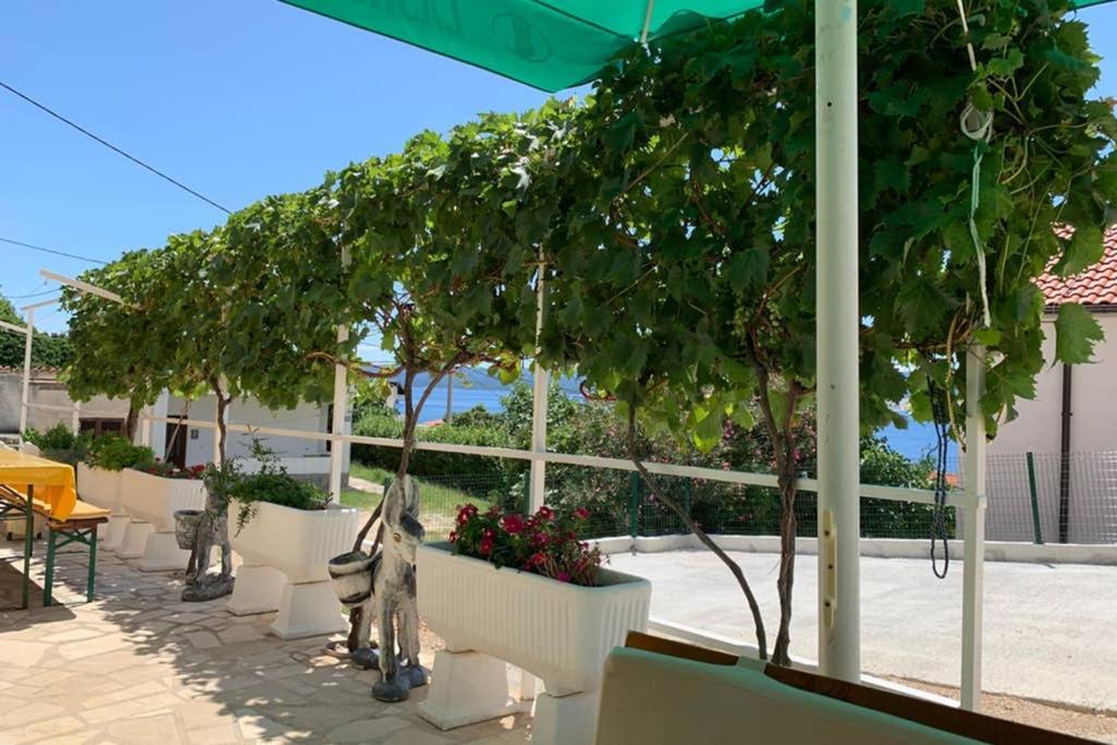 Apartment 3 With Pool And Amazing Sea View Lokva Rogoznica Zewnętrze zdjęcie
